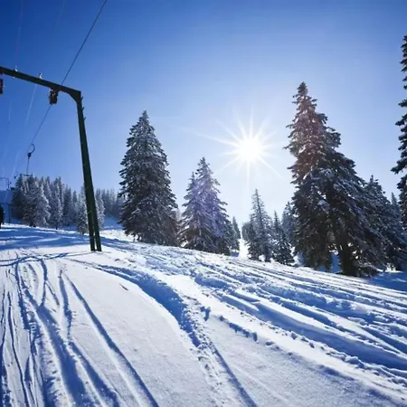 Le K2 Djola