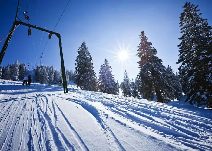 Le K2 Djola